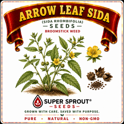 ARROWLEAF SIDA / BROOMSTICK  Weed x 10 seeds