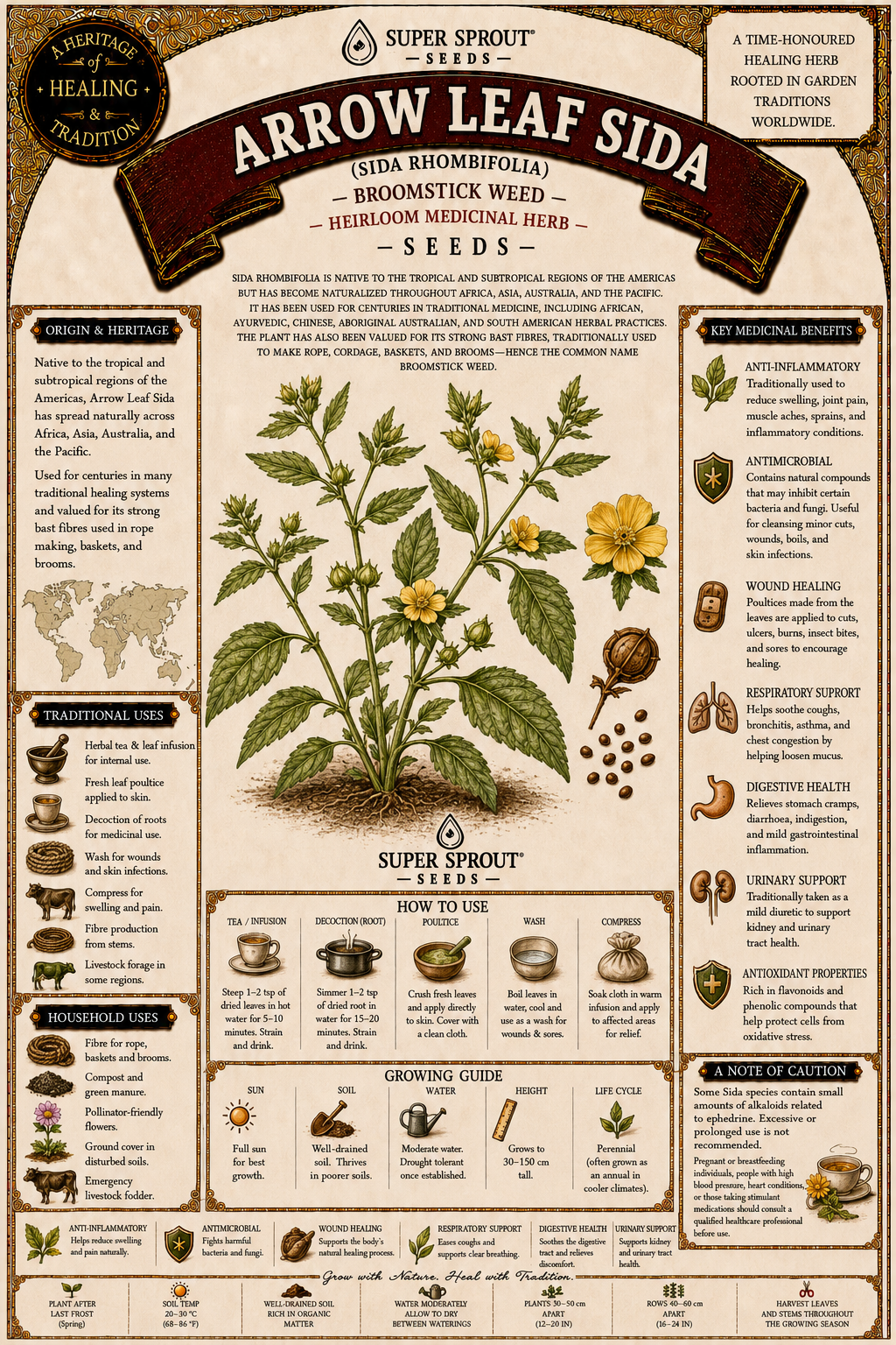 ARROWLEAF SIDA / BROOMSTICK  Weed x 10 seeds_1