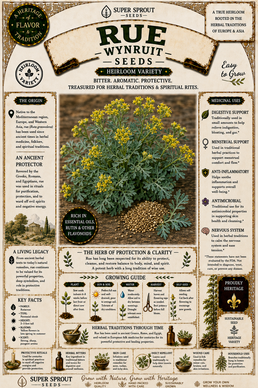 BULK RUE/WYNRUIT x 100+seeds_1