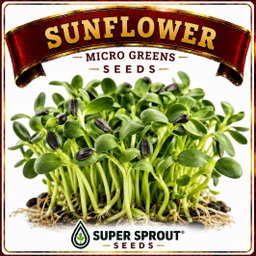 🌻 Sunflower Microgreens Seeds = 50g
