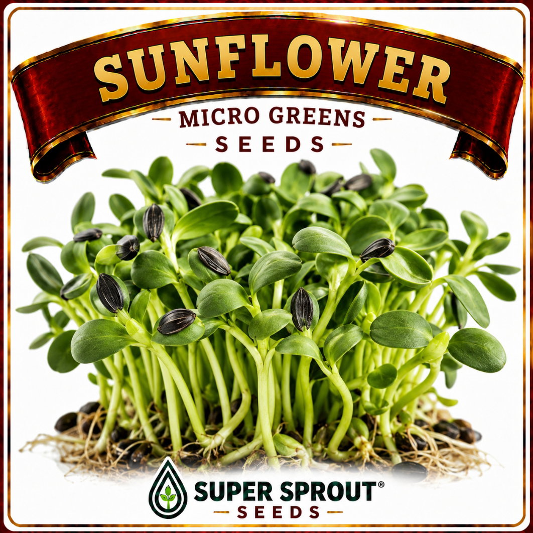 🌻 Sunflower Microgreens Seeds = 50g