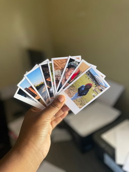Polaroid