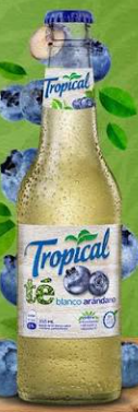 Tropical de Arándano 600ml
