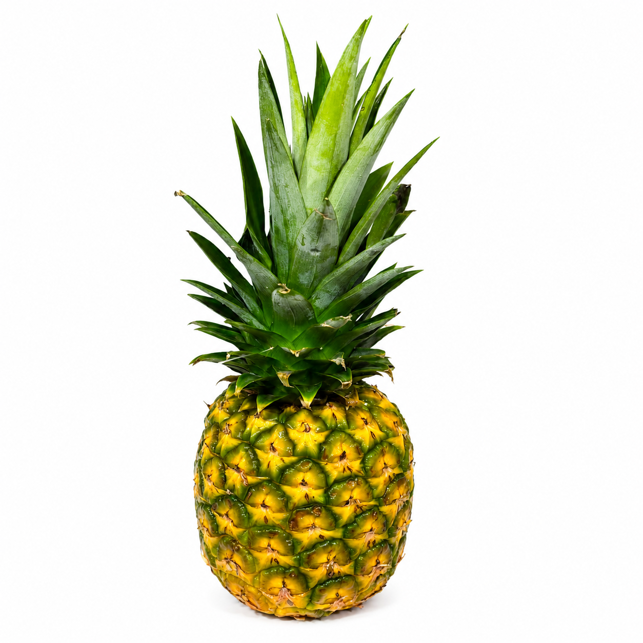 أناناس جولد– كينيا (حبة واحدة) / Del Monte Gold Pineapple – Kenya (1 pc)_0