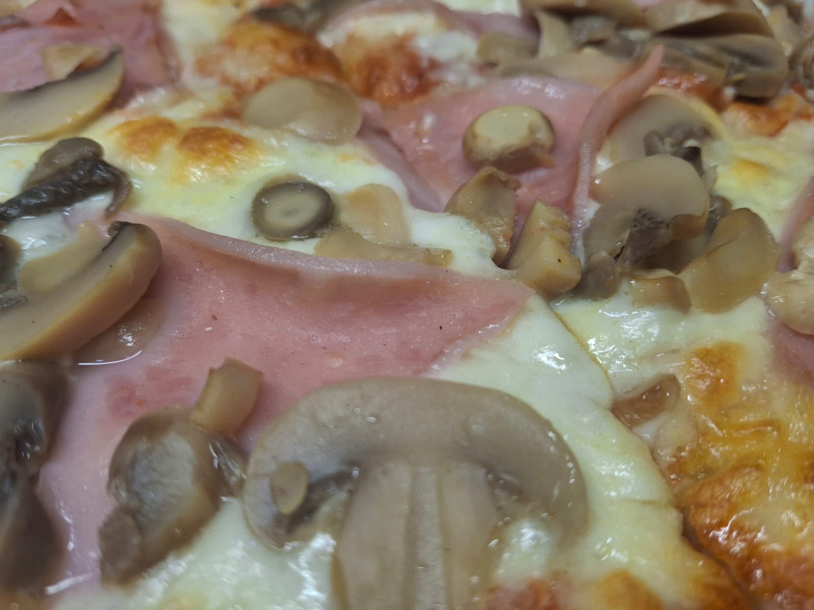 JAMÓN HONGOS / HAM AND MUSHROOMS_0