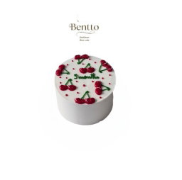 Surprise Bento Cakes