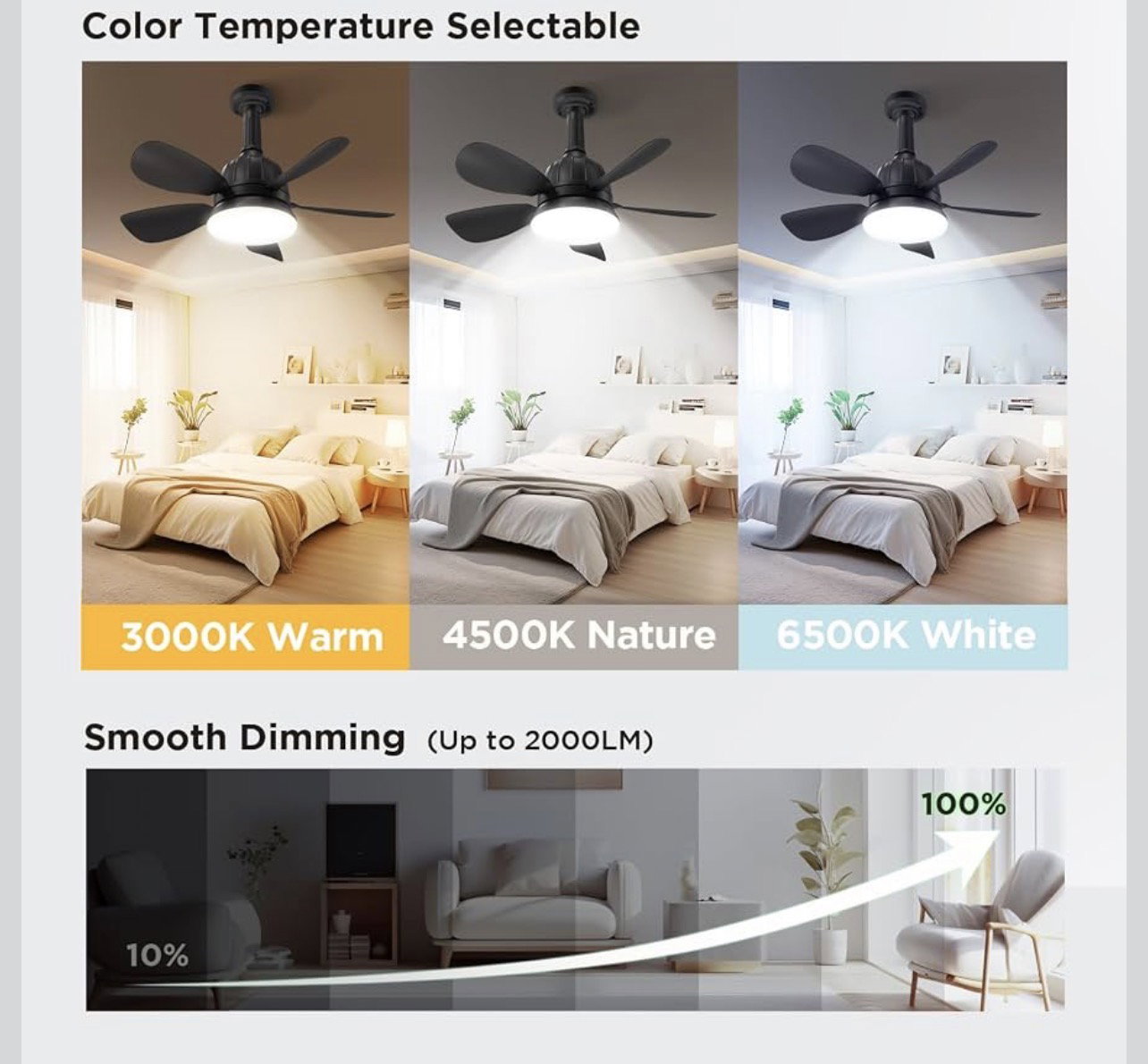 18" Socket Ceiling Fan with LED Light_2