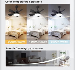 18" Socket Ceiling Fan with LED Light