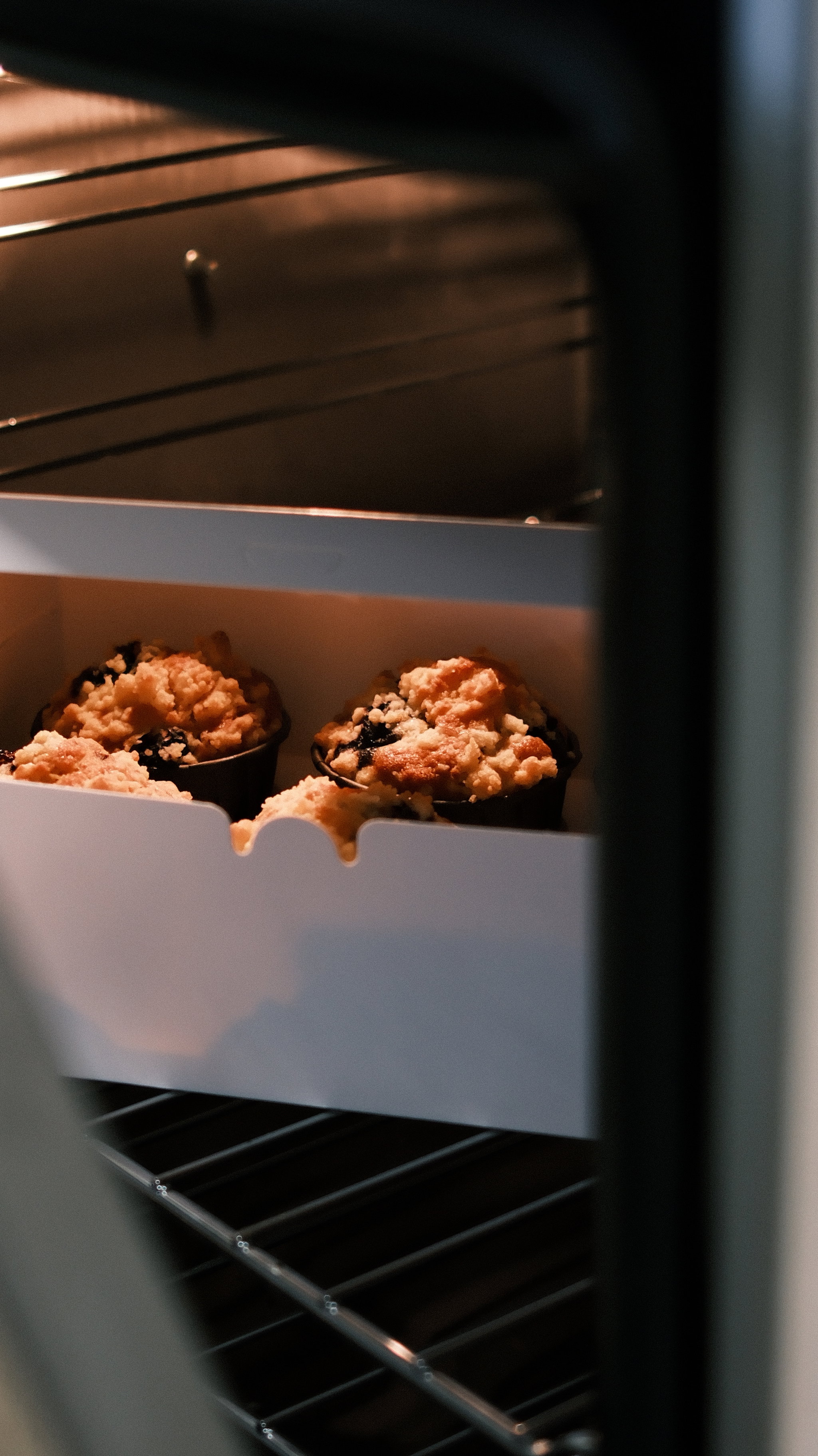 Blueberry Lemon Crumble Muffin_0