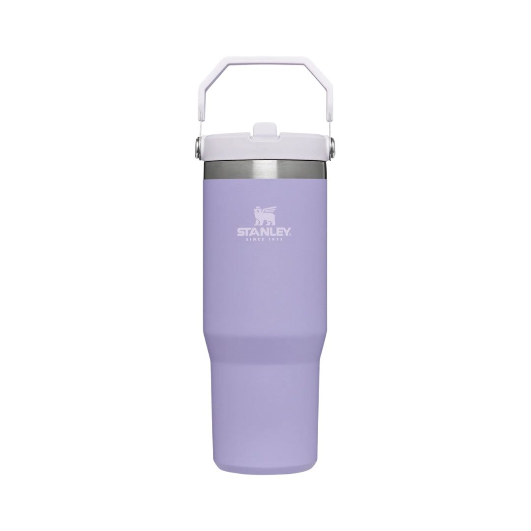 STANLEY IceFlow Flip Straw Tumbler 30oz_11