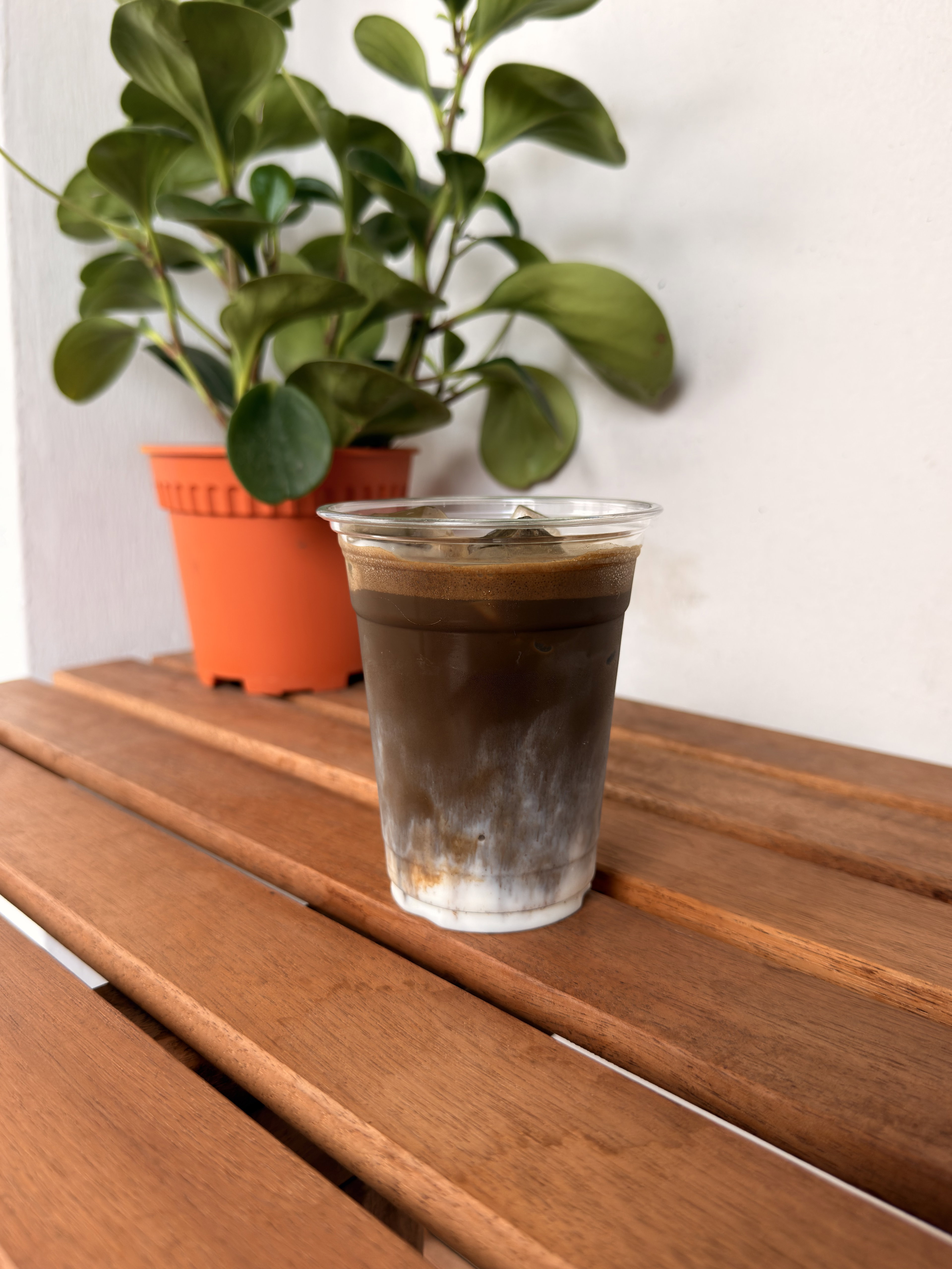 'CLASSIC' Houjicha Latte_0