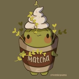 MATCHA SERIES 