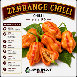 Exotic Chilli Seed Collection  x 5 packs 10 seeds per pack