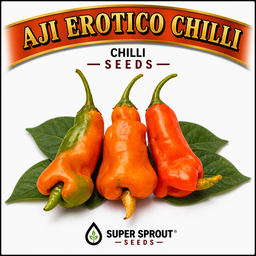 Exotic Chilli Seed Collection  x 5 packs 10 seeds per pack