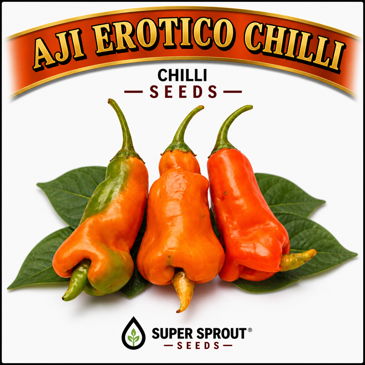 Exotic Chilli Seed Collection  x 5 packs 10 seeds per pack_5