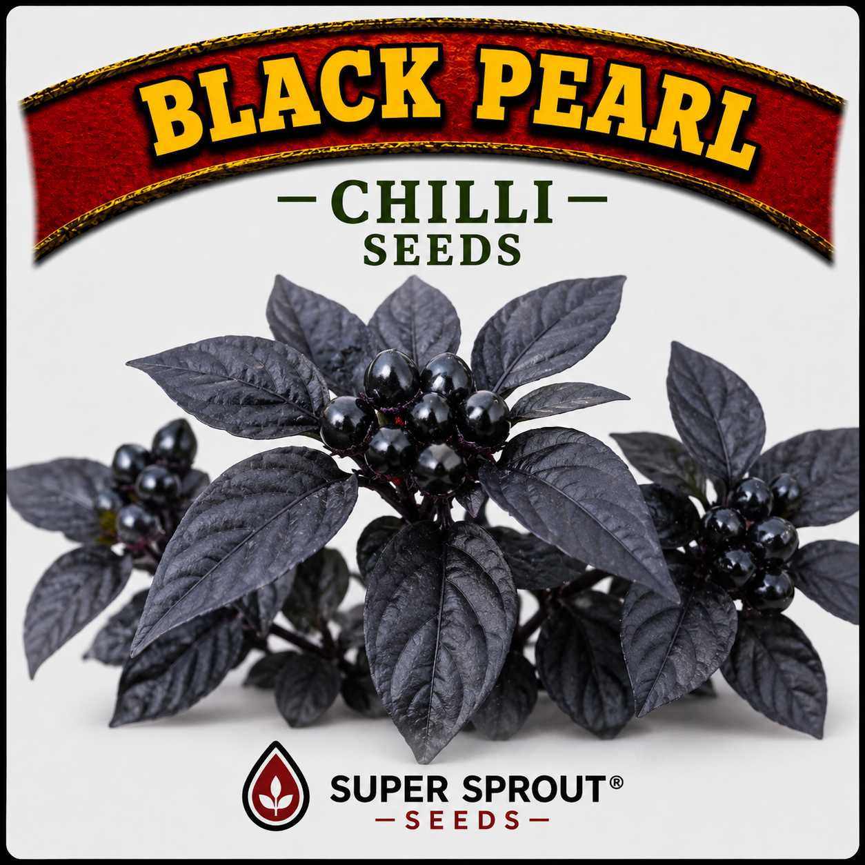 Exotic Chilli Seed Collection  x 5 packs 10 seeds per pack_4