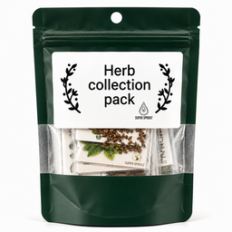Essential Herb collection x 12 packs