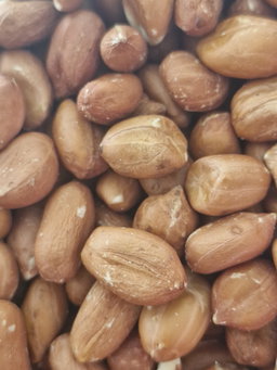 Cacahuate Natural 