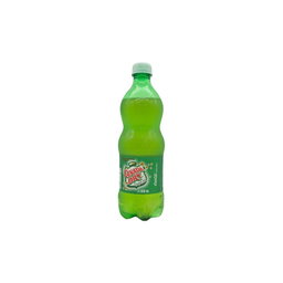 GINGER ALE 600ML