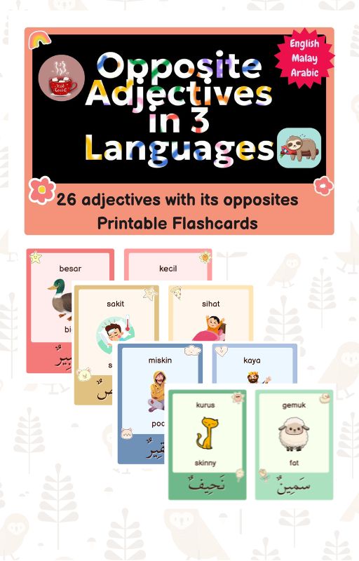 The opposite adjectives in 3 languages