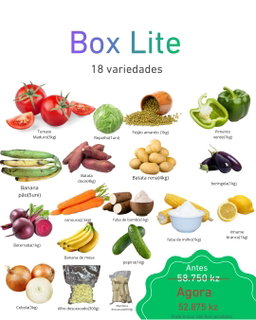 Box Lite 18 variedades