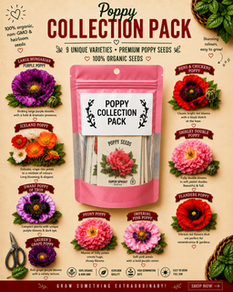 Combo poppy pack x 9 packs