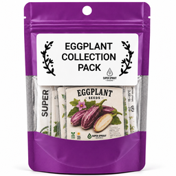 Exotic Eggplant combo pack x 6 packs