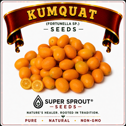 KUMQUAT  x 5 seeds