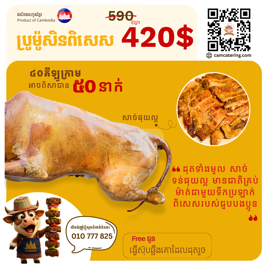 គោដុតពិសេស A480