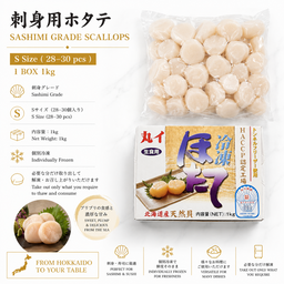 Sashimi Grade Scallops (S Size | 28-30 pcs) | 刺身用ホタテ