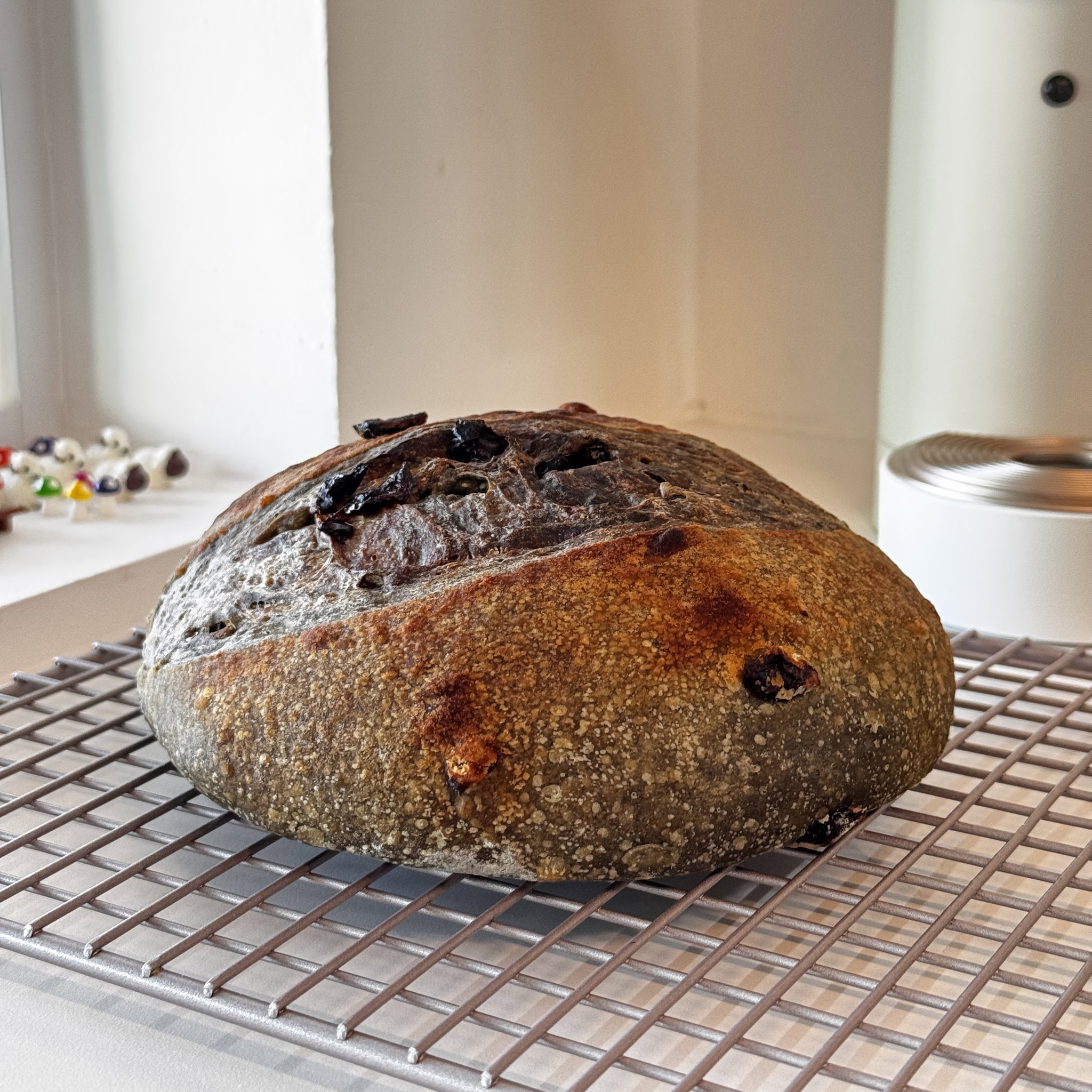 Matcha Cranberry Sourdough_0