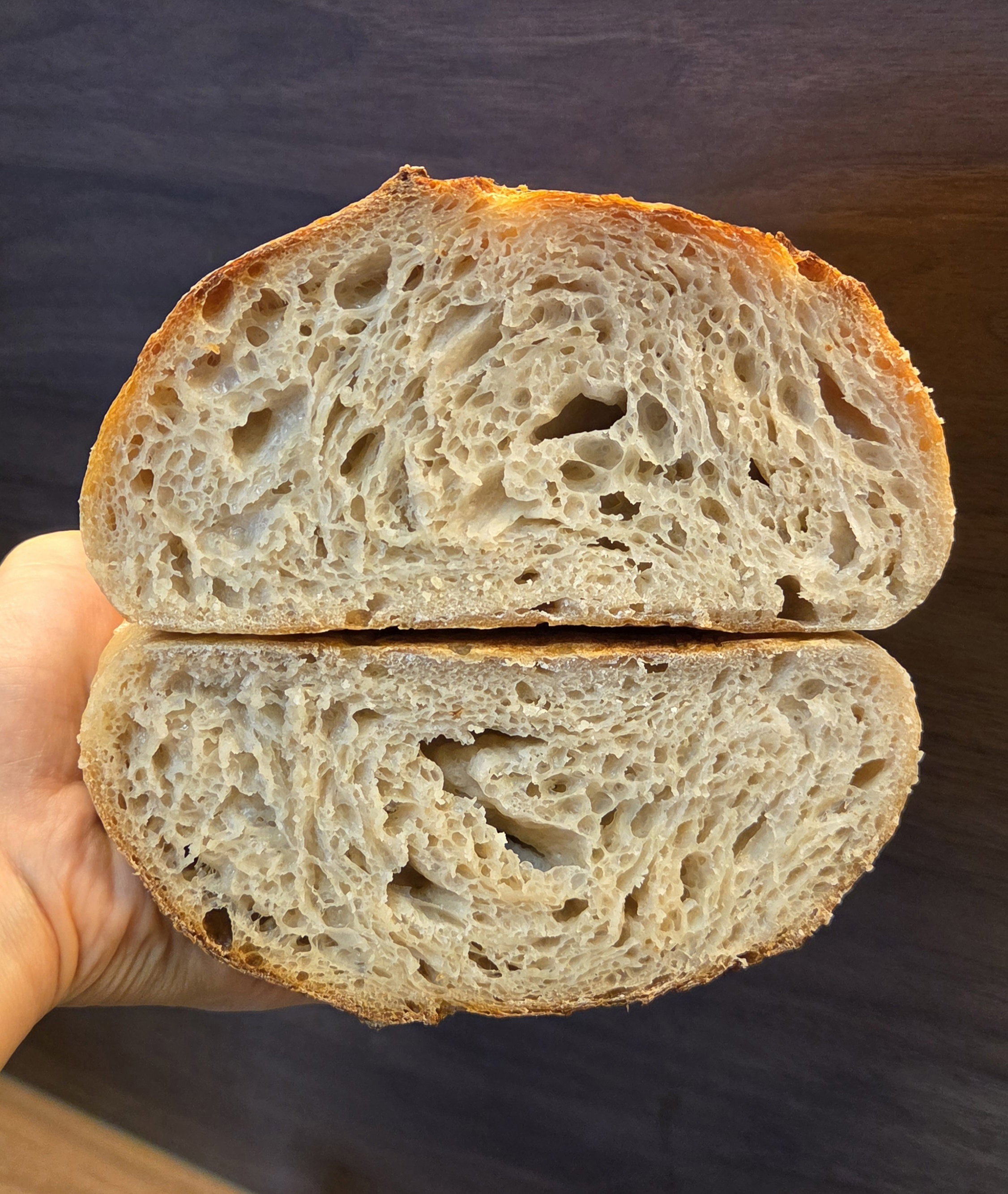 Master Sourdough_1