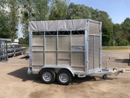 MAGNUM VAN BOVINO 300VB5 – 3 Plazas | 3,20 × 1,80 × 2,20 m