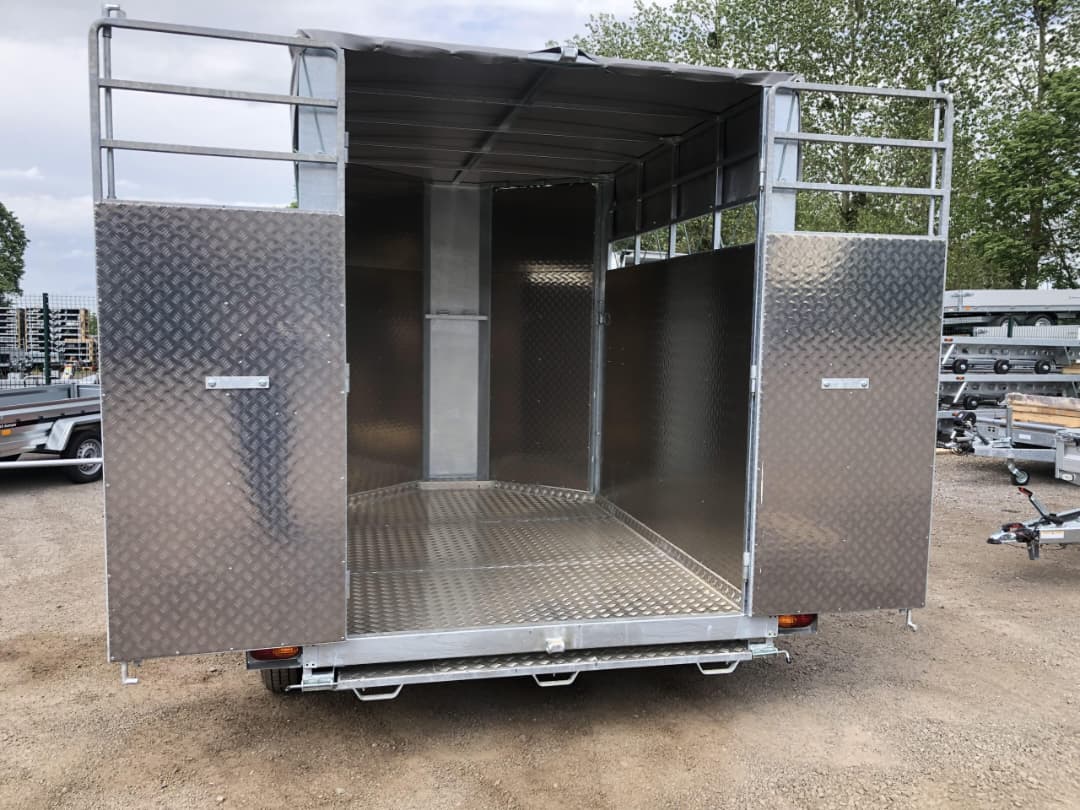 MAGNUM VAN BOVINO 300VB5 – 3 Plazas | 3,20 × 1,80 × 2,20 m_4