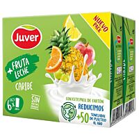 Juver bebida fruta y leche caribe 6 x 20 cl_0