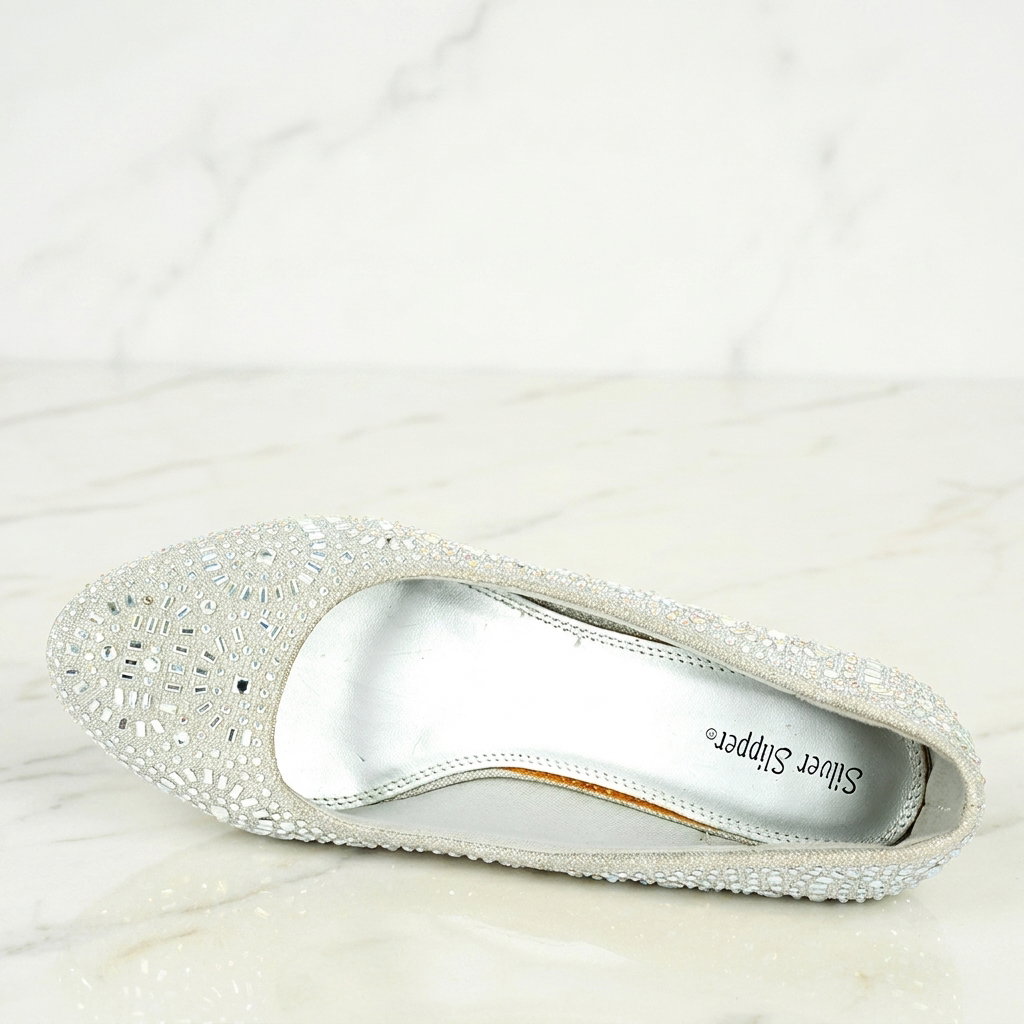 Silver Slipper US13(EU 44)_3