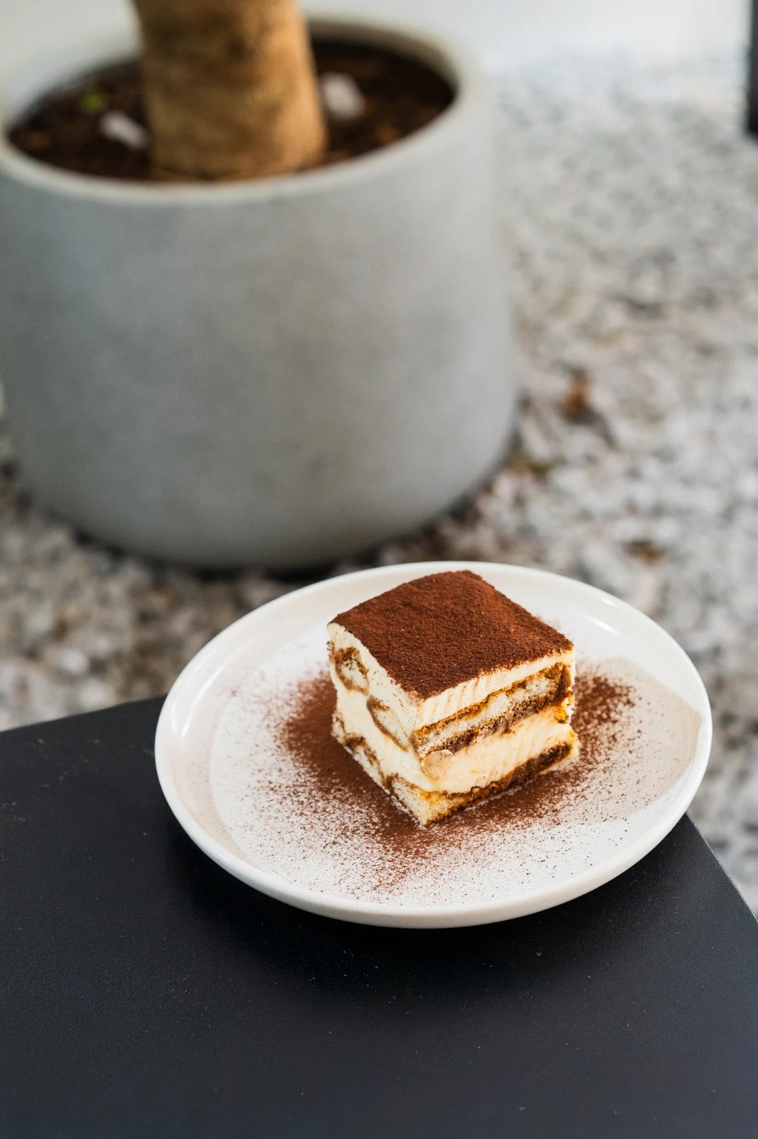 Tiramisu Cake_0