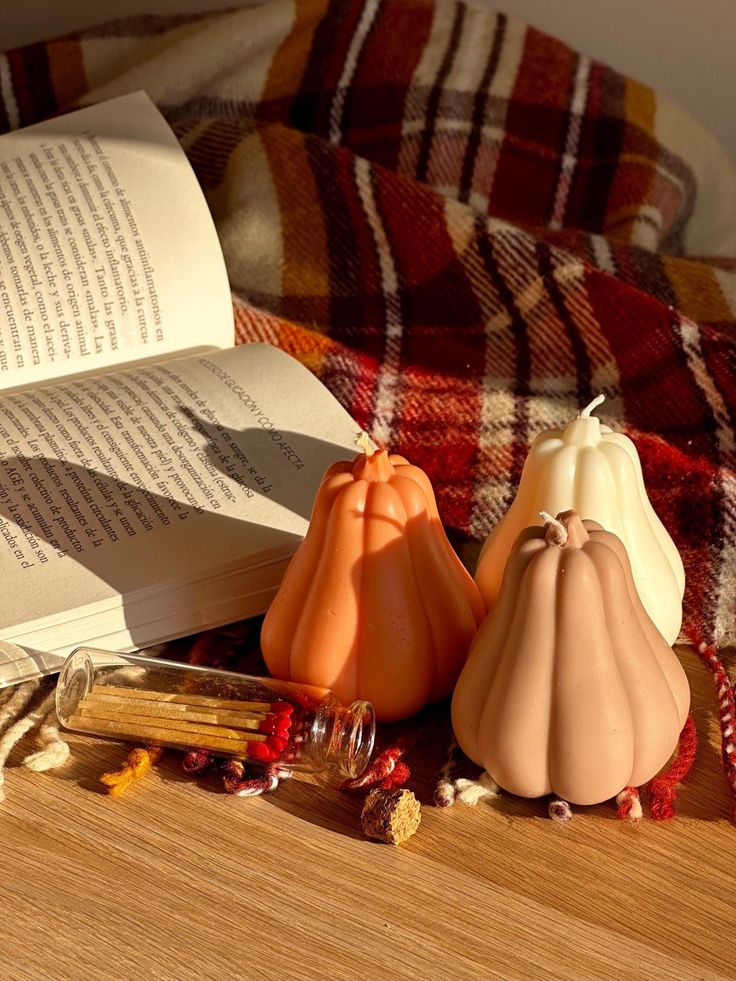 Molde calabaza larga