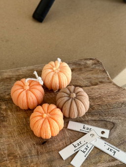 Set 4 moldes otoño