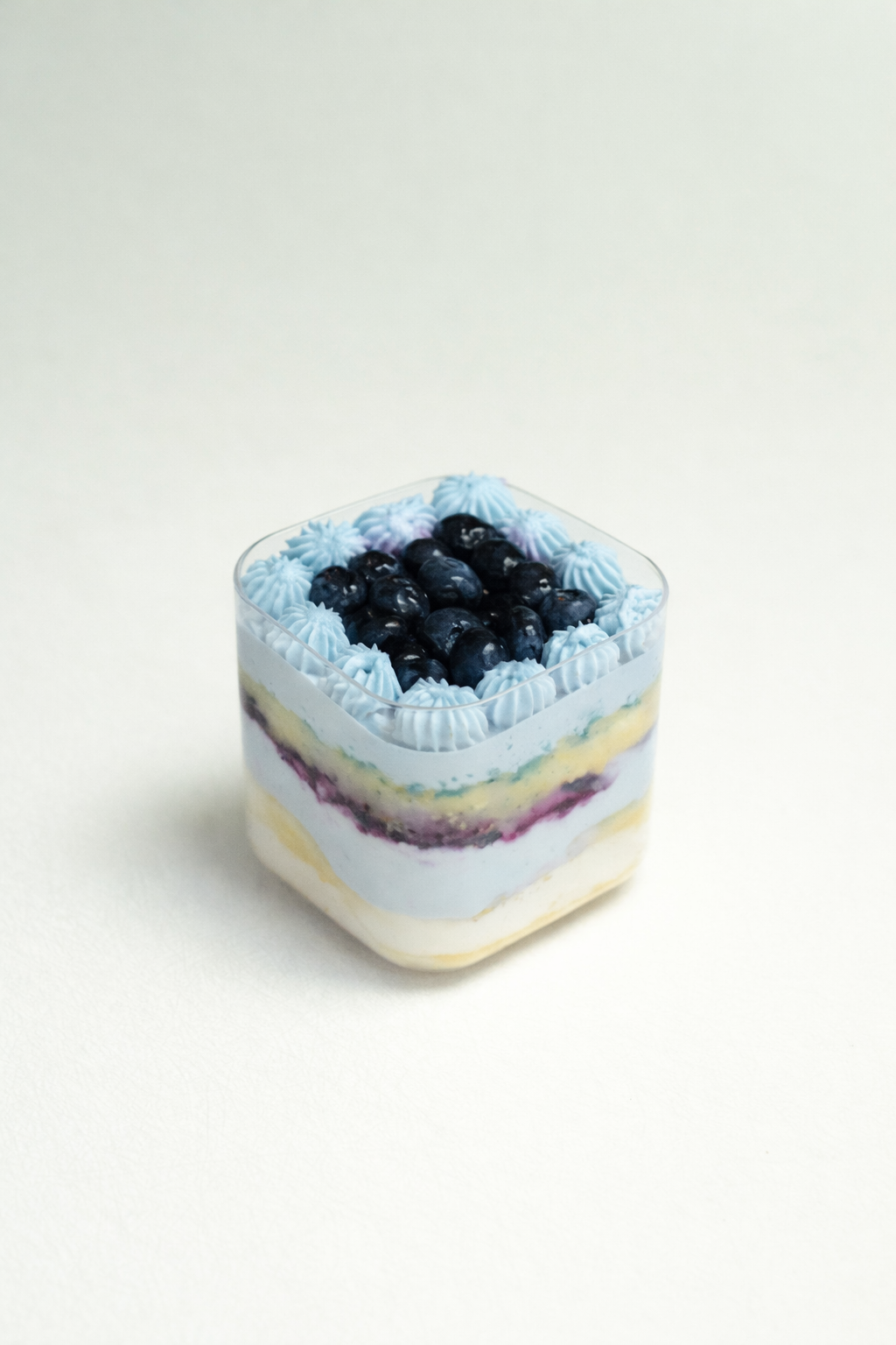 Premium Assorted Mini Cakes (Box of 4)_5