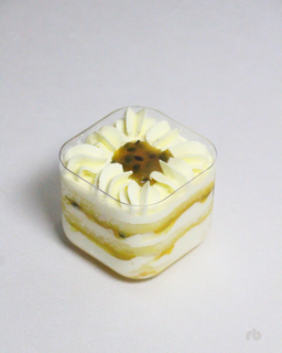 Premium Assorted Mini Cakes (Box of 6)