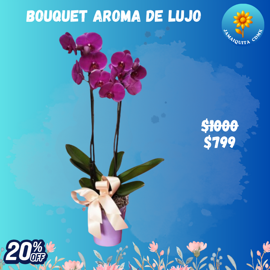 BOUQUET AROMA DE LUJO_0