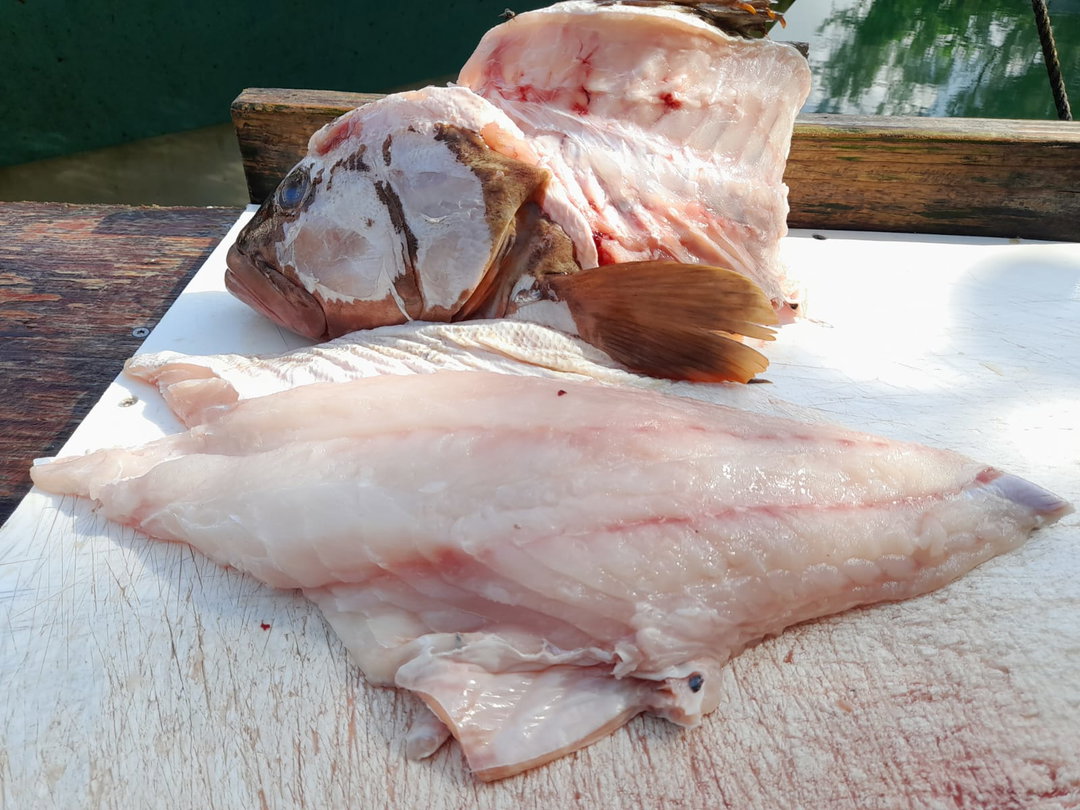 Nassau Grouper Fillet (1.4lb) (Individually Sealed)