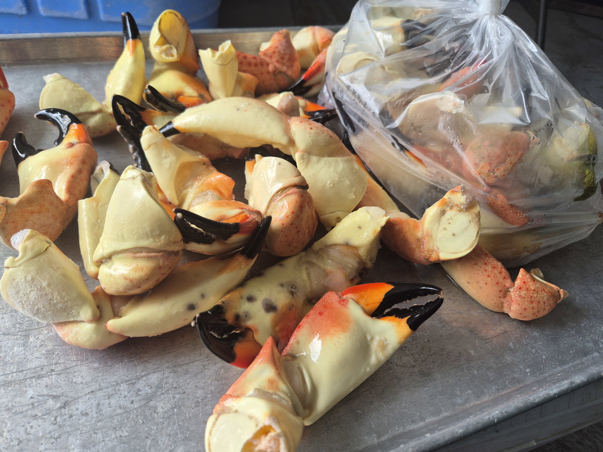 Large Stone Crab Claws (5 lbs) _0