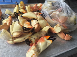 Large Stone Crab Claws (5 lbs) 