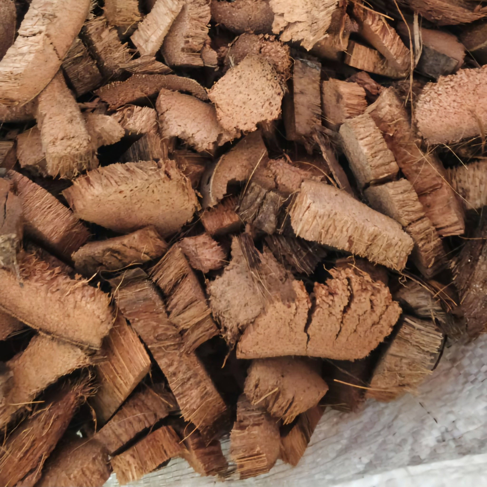 Coco Chips for Anthurium (ඇන්තූරියම් සඳහා පොල්ලෙලි කැබලි)_2
