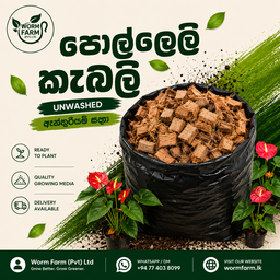 Coco Chips for Anthurium (ඇන්තූරියම් සඳහා පොල්ලෙලි කැබලි)