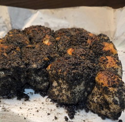 Rich Sesame "Muah Chee"