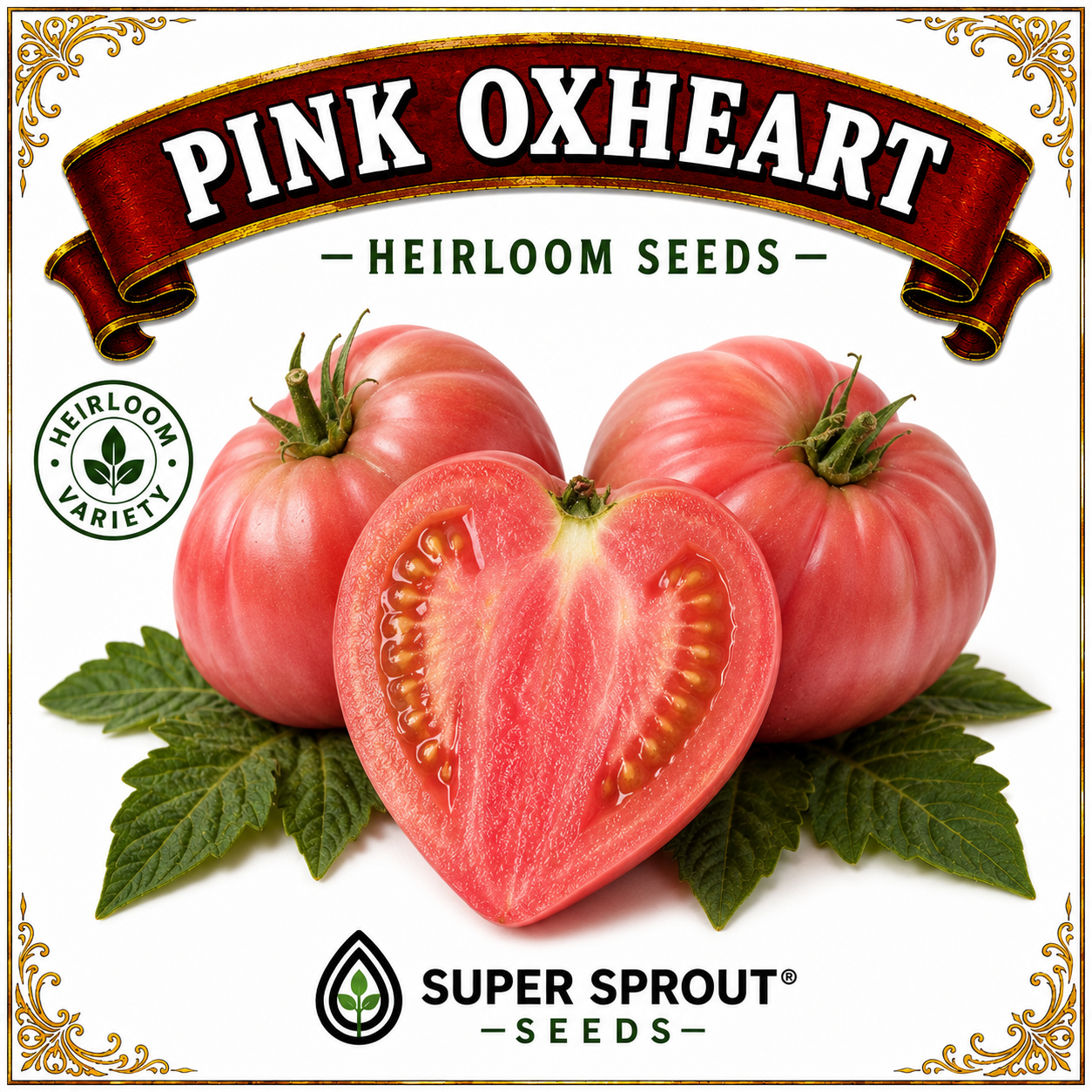 🍅OX HEART TOMATOES🍅 x 10+ seeds
