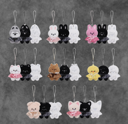 Stray Kids World Tour RUN IT SEOUL Merch